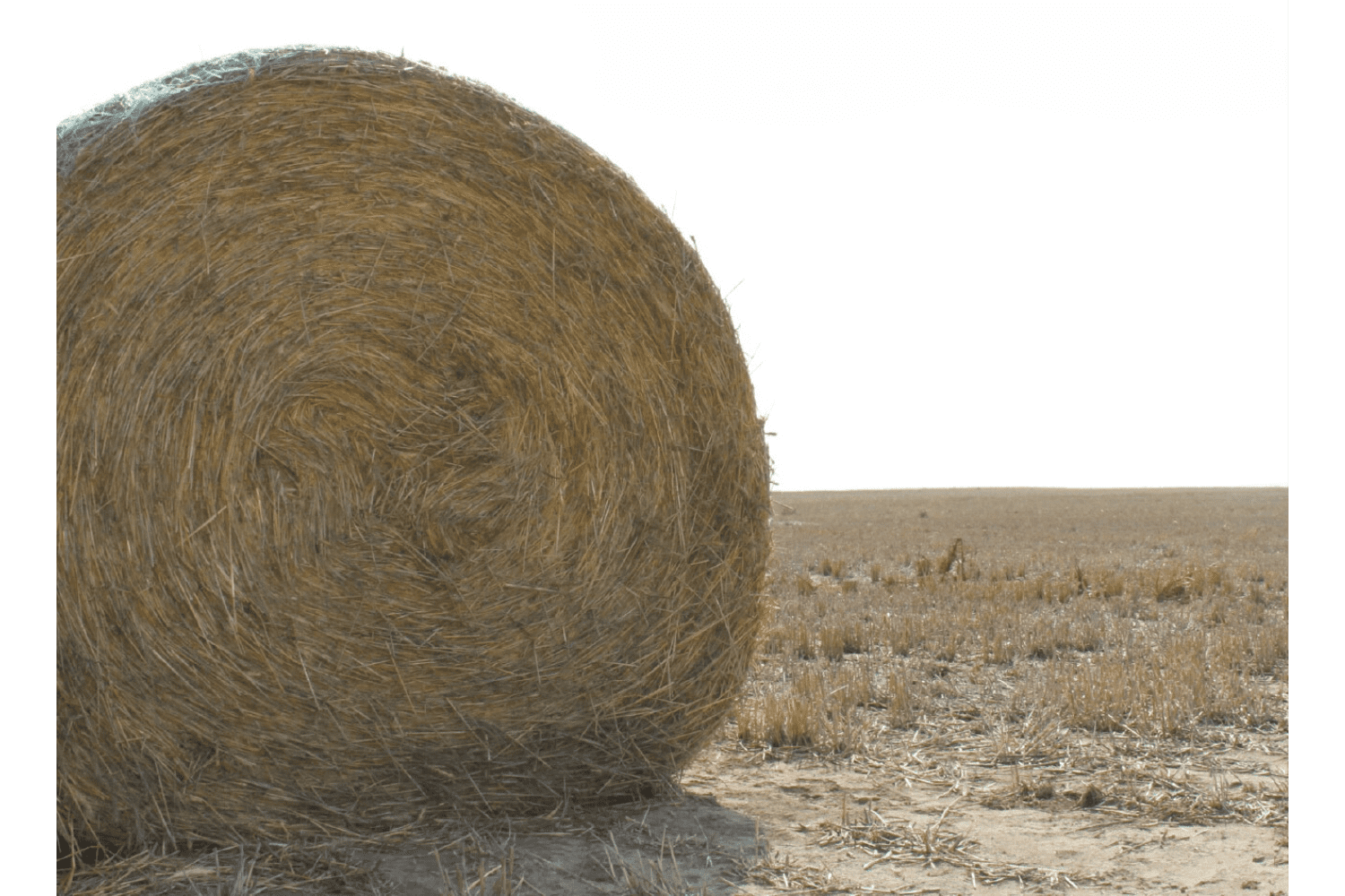 big hay bale in field