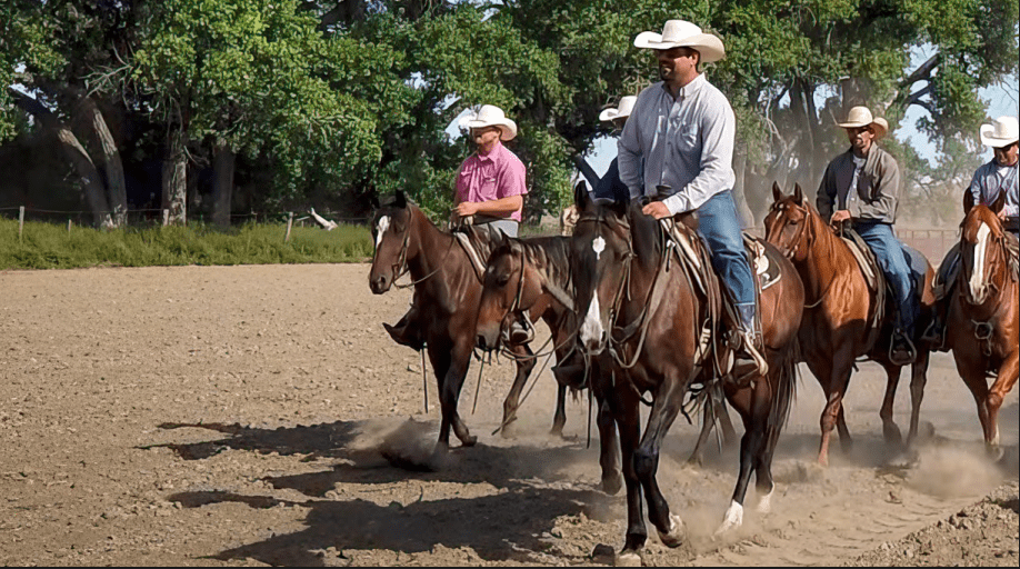 cowboys riding horses