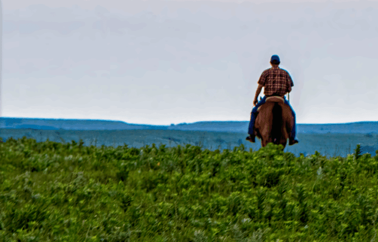 man riding horse through grass field